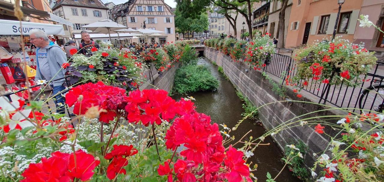 Le Green St Leon : Lit Queen Size * Wifi * Ideal Couple Colmar Exterior foto